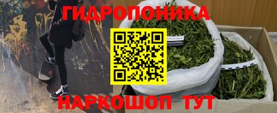 тгк Кинель