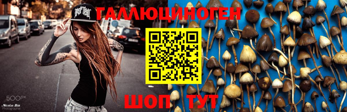 Галлюциногенные грибы Psilocybe  Вход с VPN  Кирово-Чепецк  Галлюциногенные грибы Magic Shrooms 